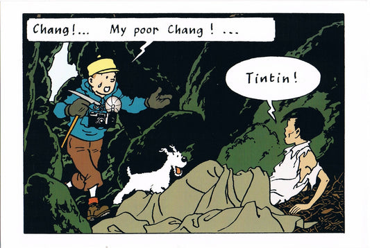 POSTCARD: Tibet Tchang